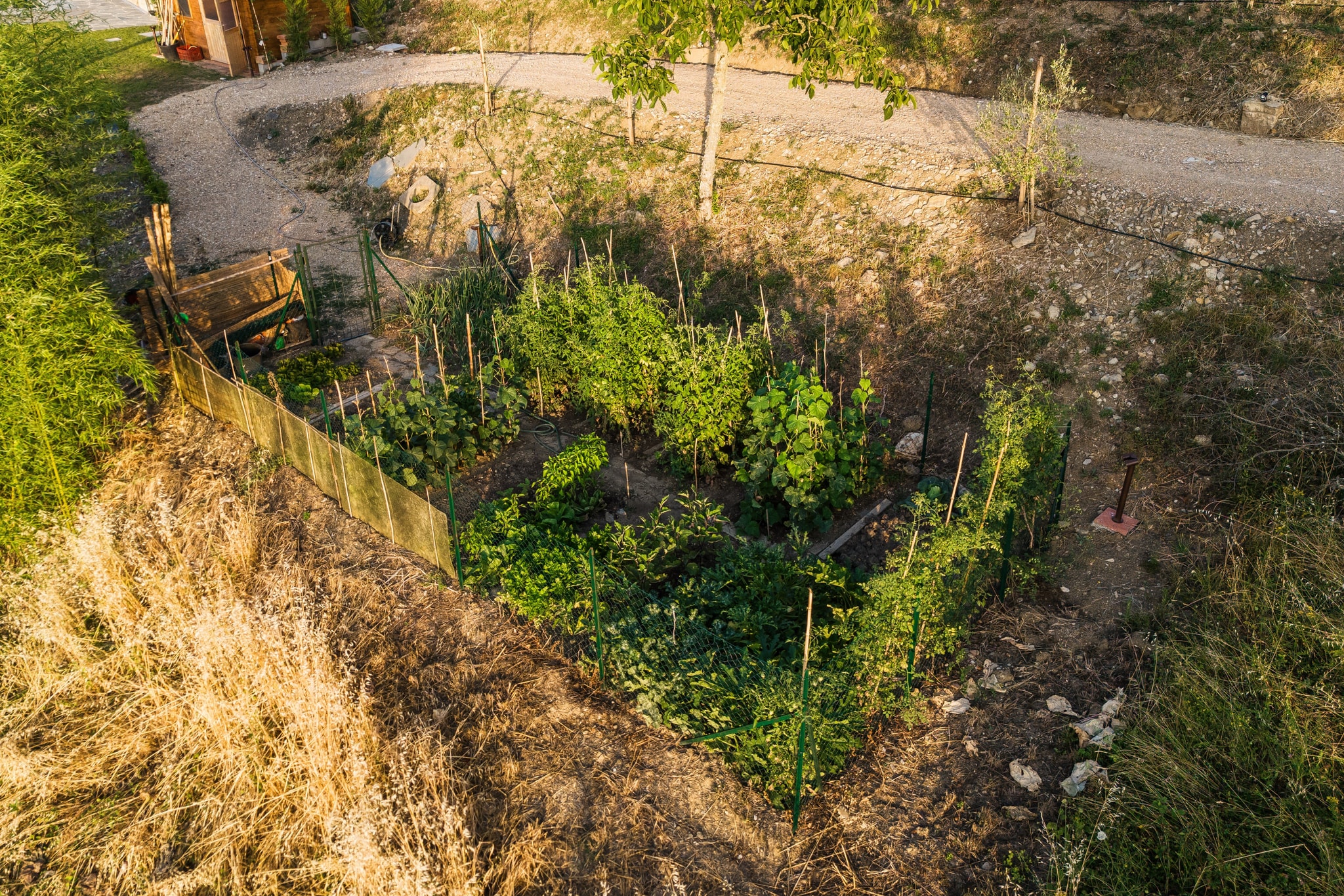 The Rhythm of Soil and Sun