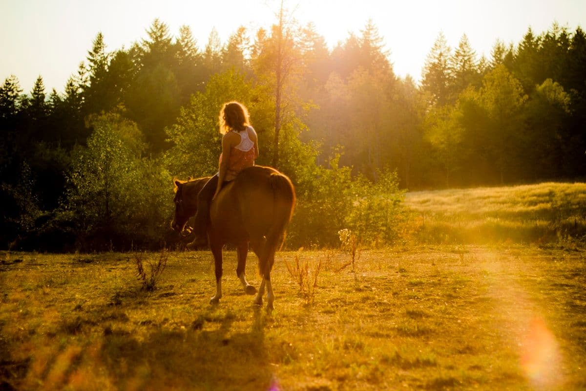 Horse Riding