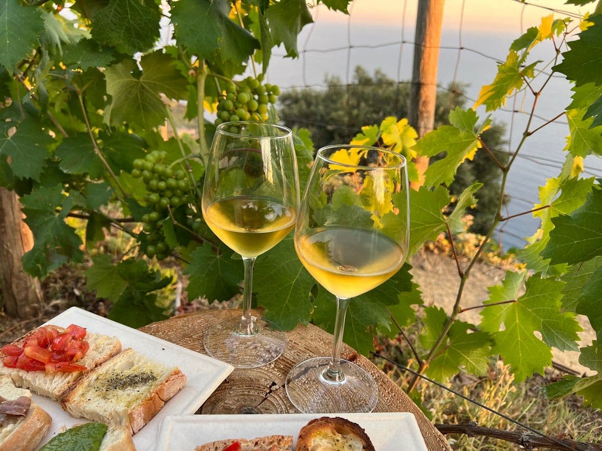 Wine Tastings