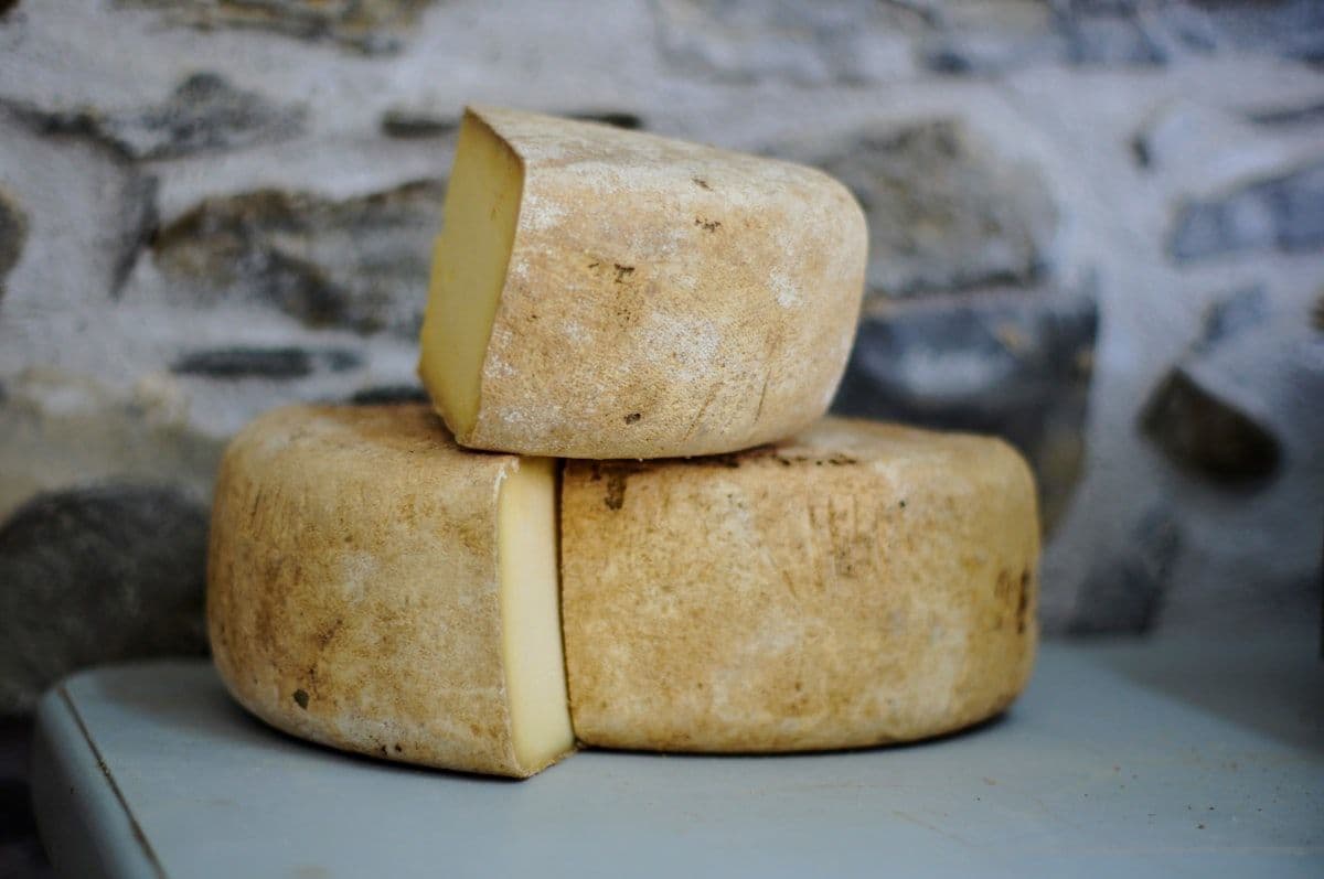 Cheese Producer Visits