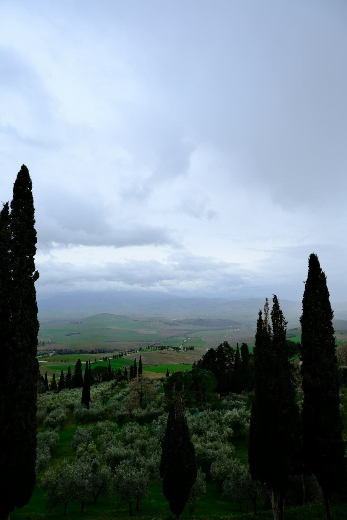 Hiking in the Chianti Hills